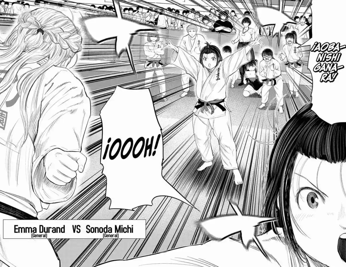 Mou Ippon capítulo 255, página 9