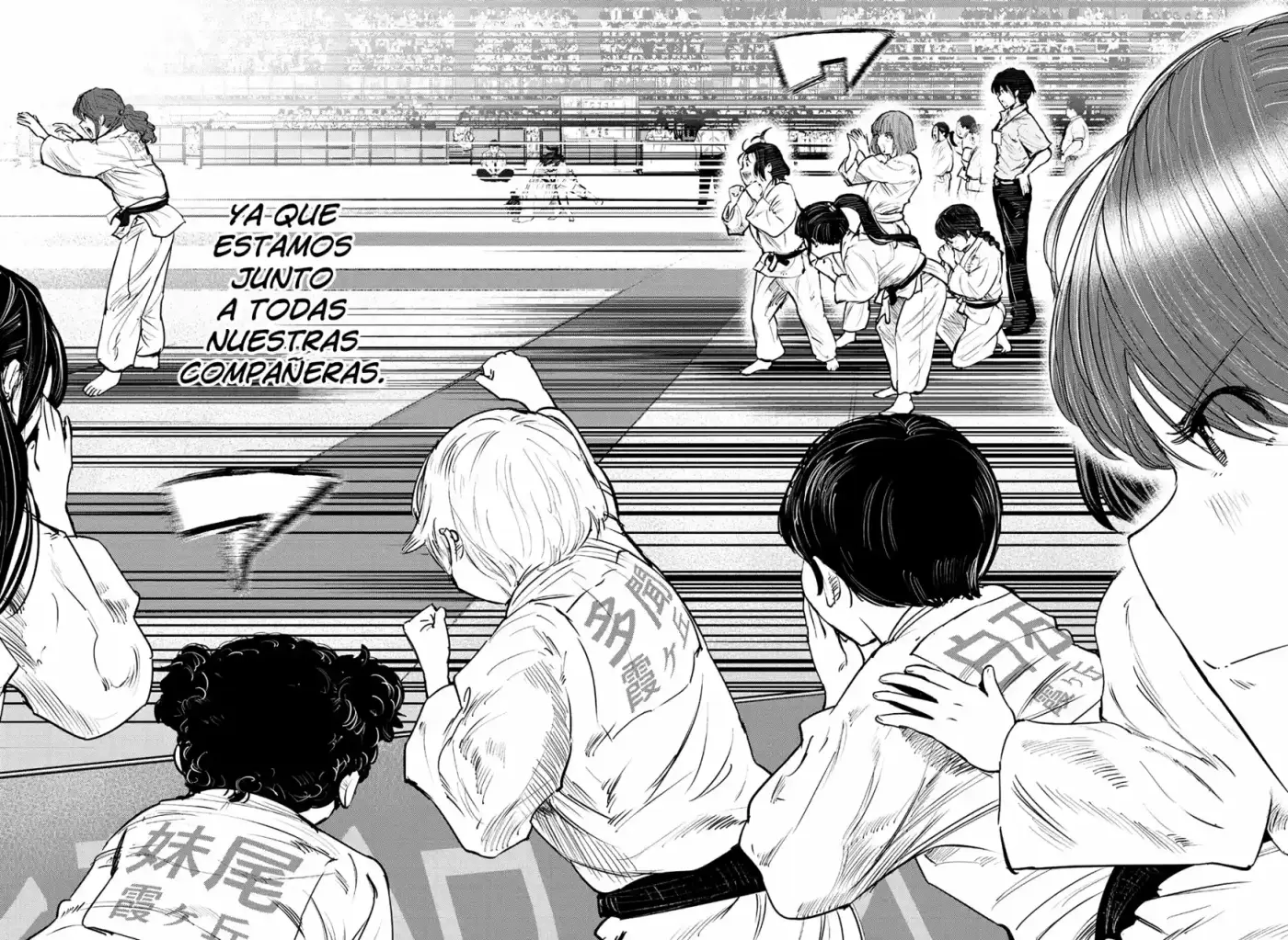 Mou Ippon capítulo 46, página 19