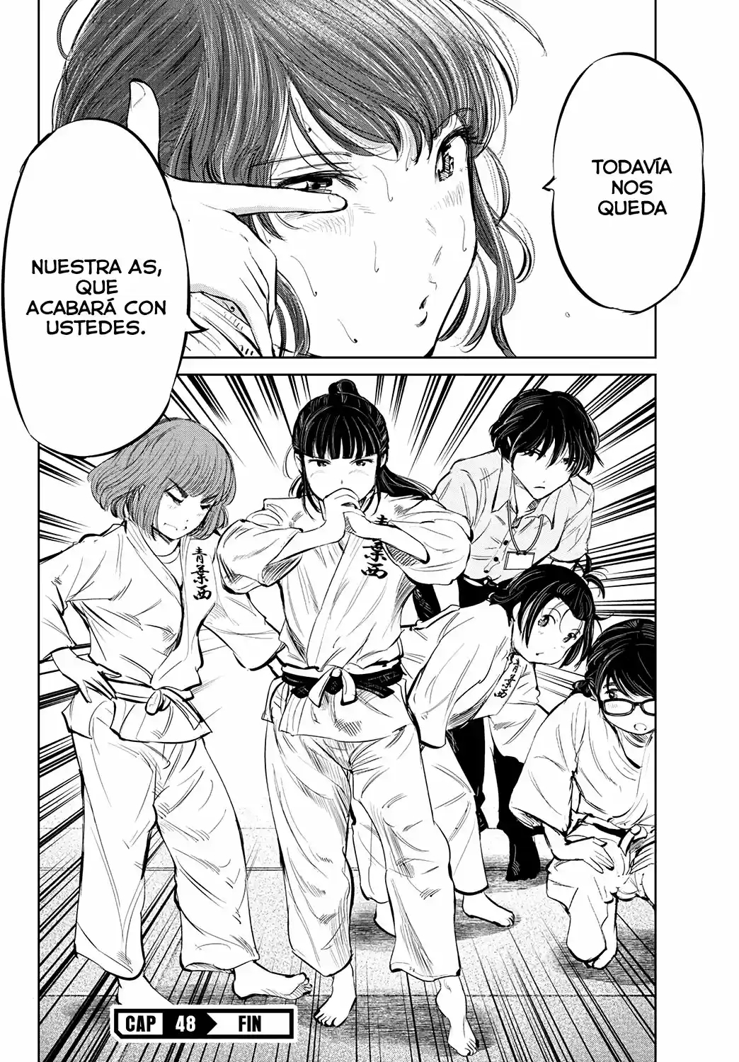 Mou Ippon capítulo 48, página 17