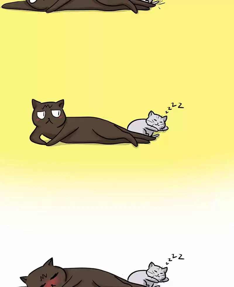 MURRZ capítulo 15, página 17