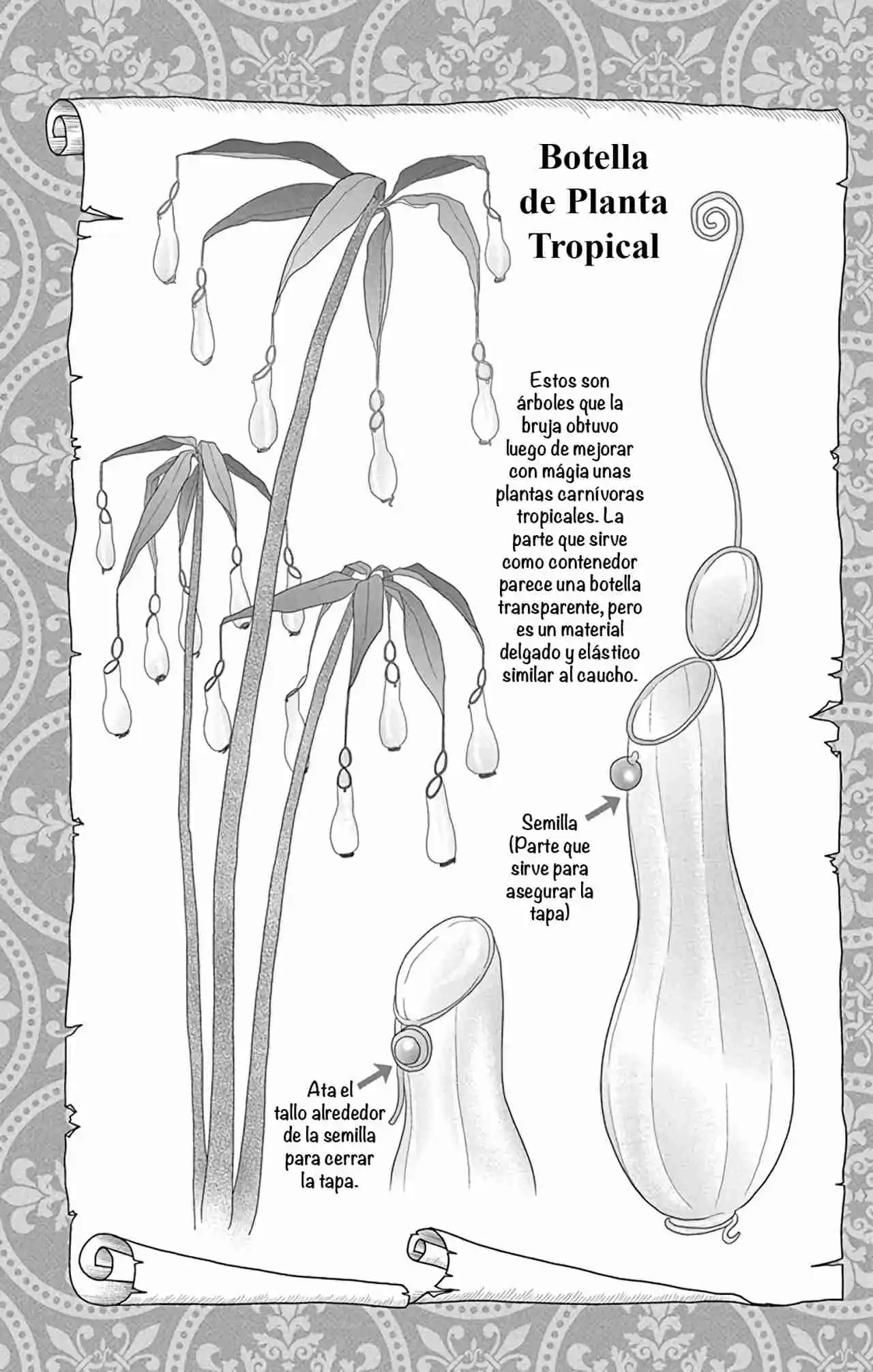 Mushroom Witch capítulo 1, página 30