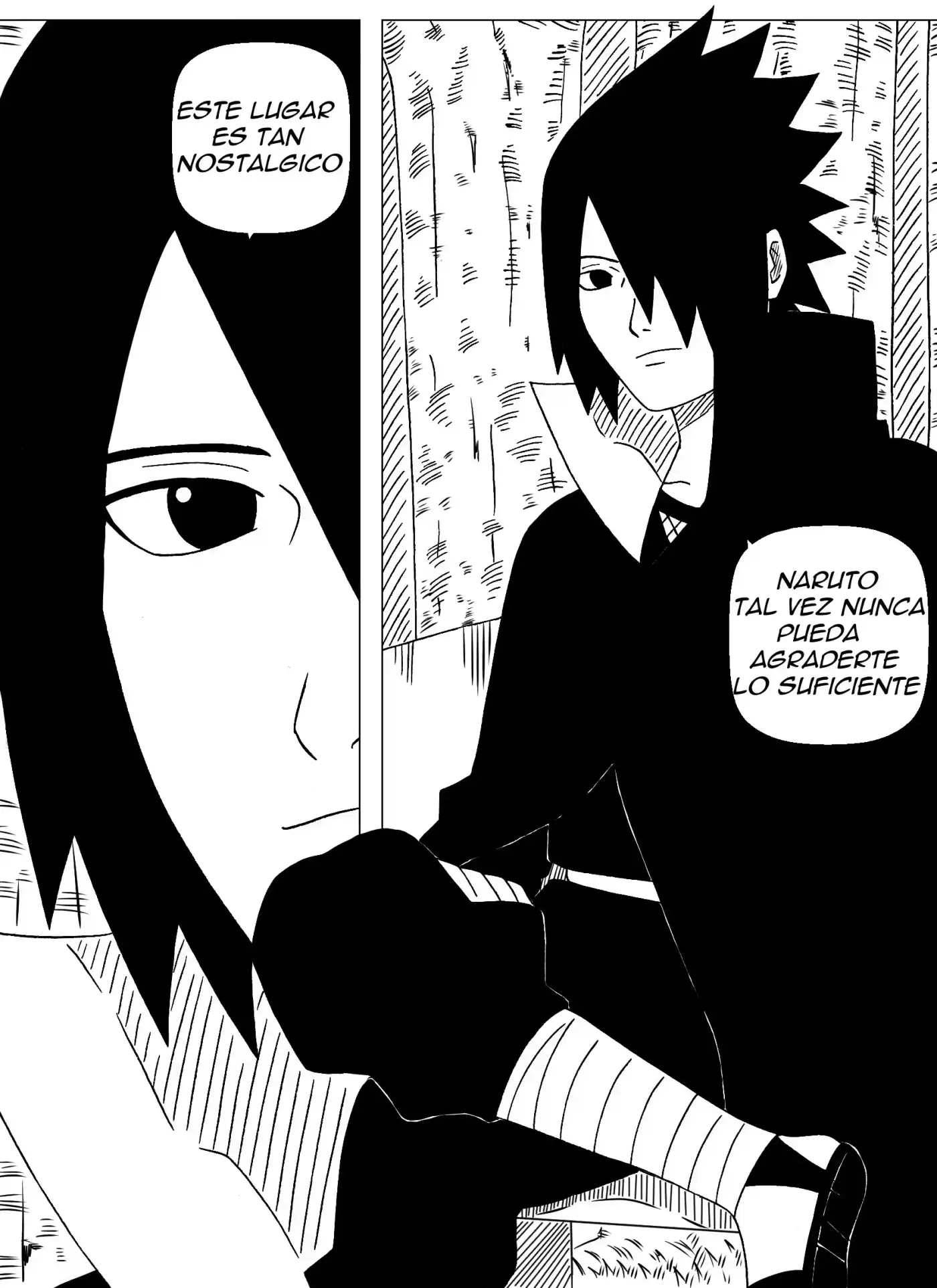Naruto Alternative capítulo 16, página 14