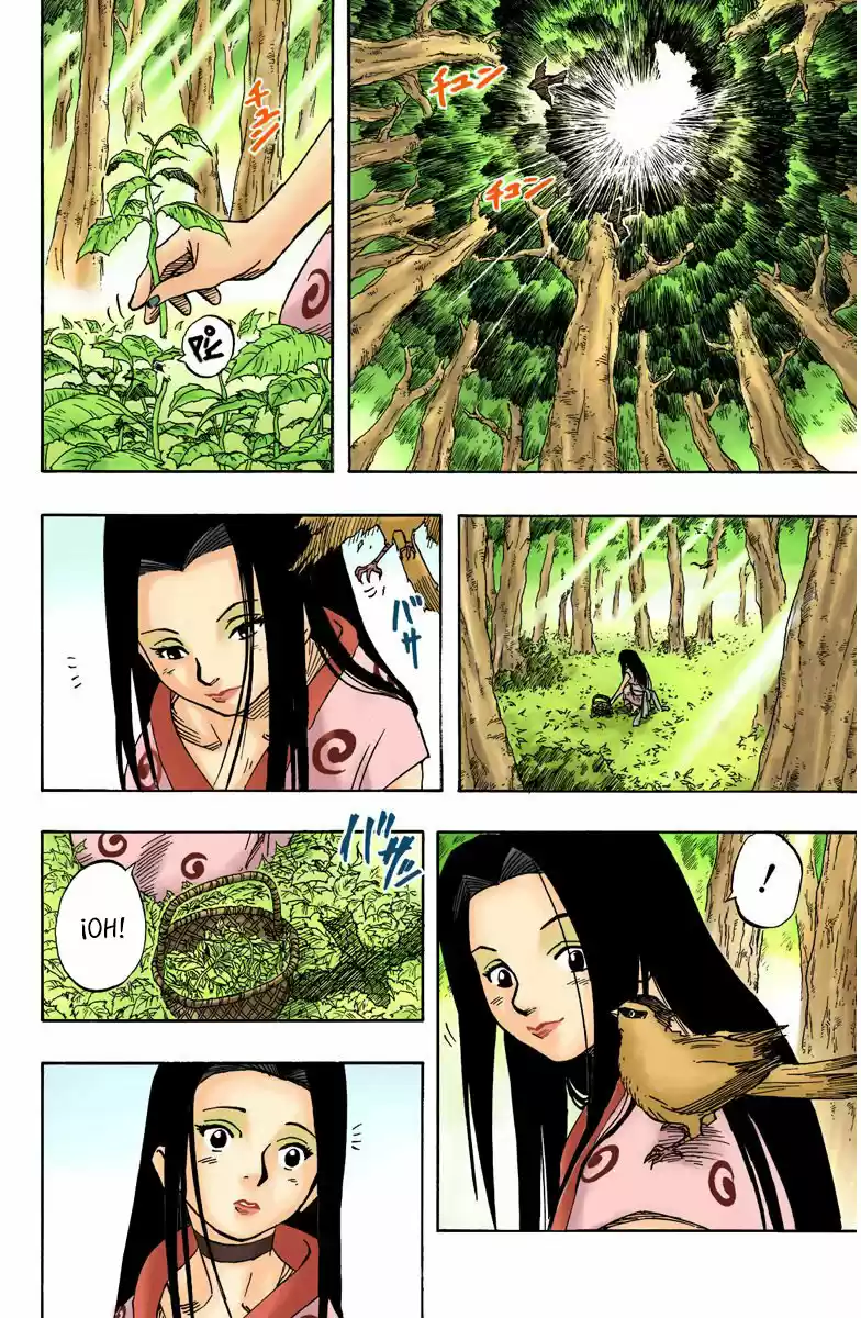 Naruto Full Color capítulo 21, página 2