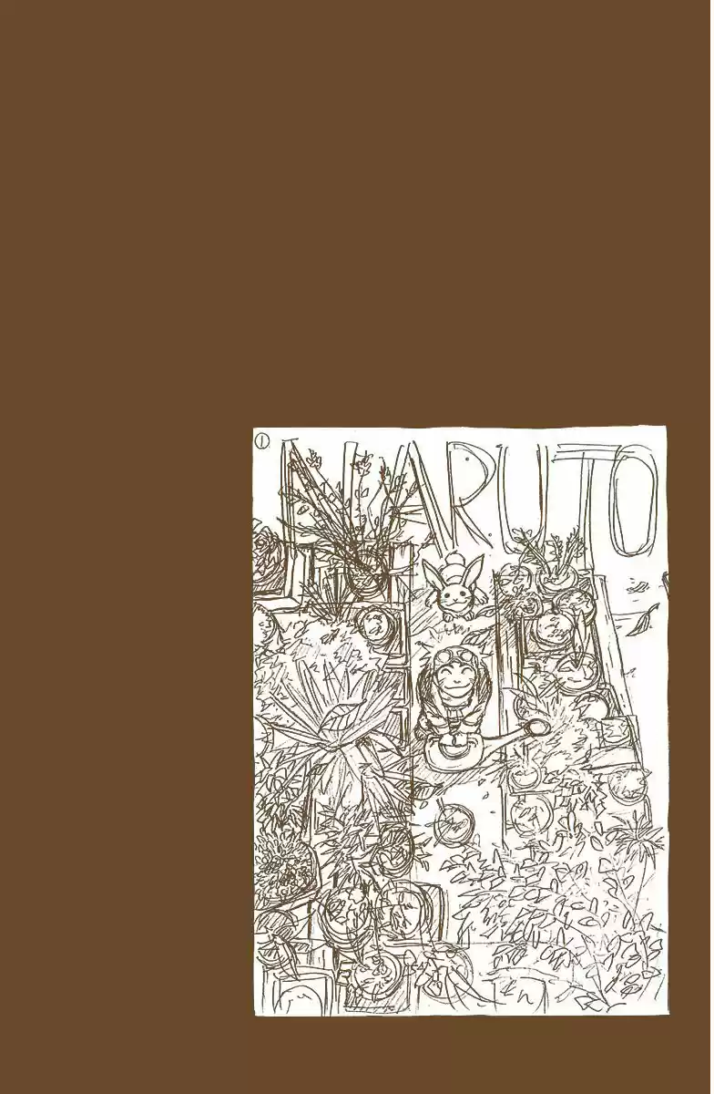 Naruto Full Color capítulo 21, página 14