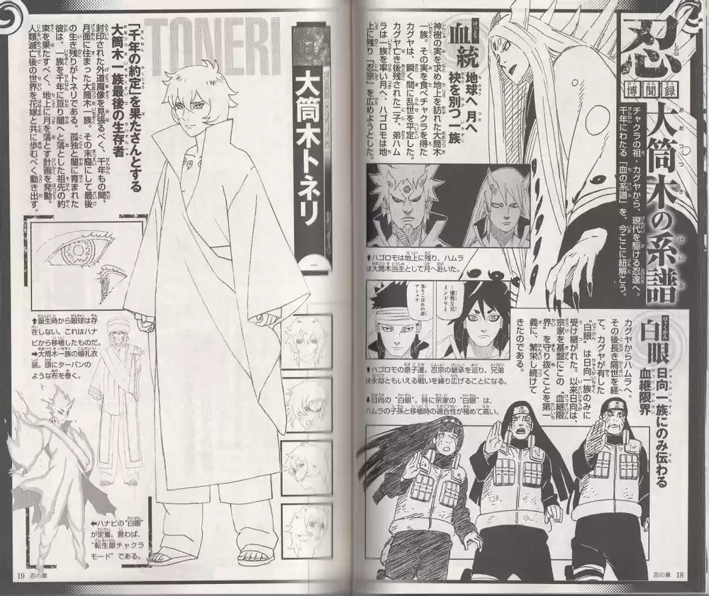 Naruto capítulo 700.05, página 10