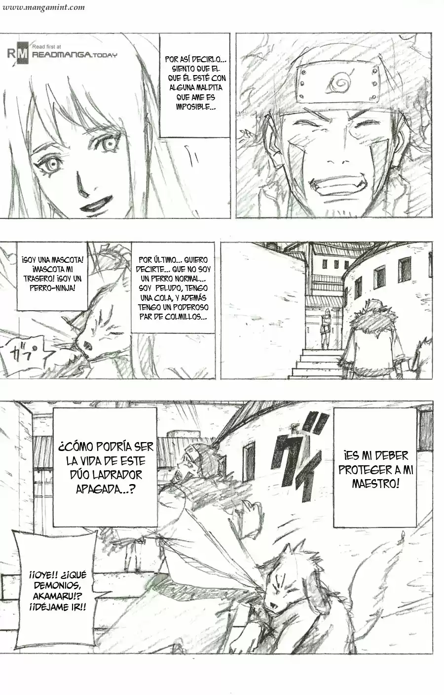 Naruto capítulo 701.05, página 21