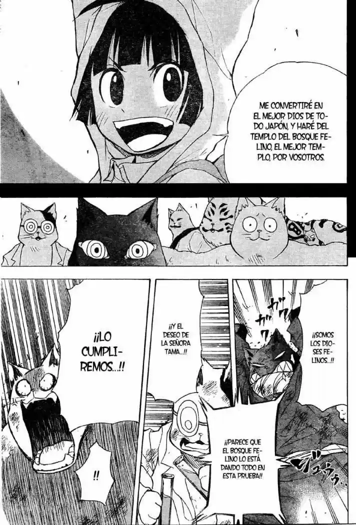 Neko Wappa capítulo 12, página 17