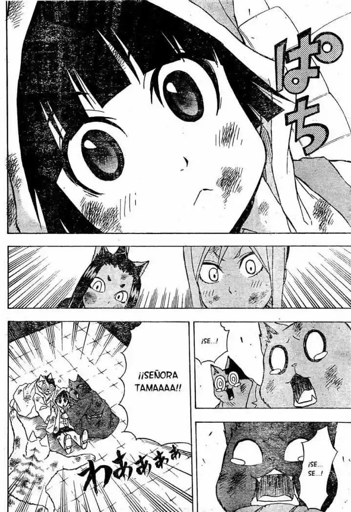 Neko Wappa capítulo 13, página 3
