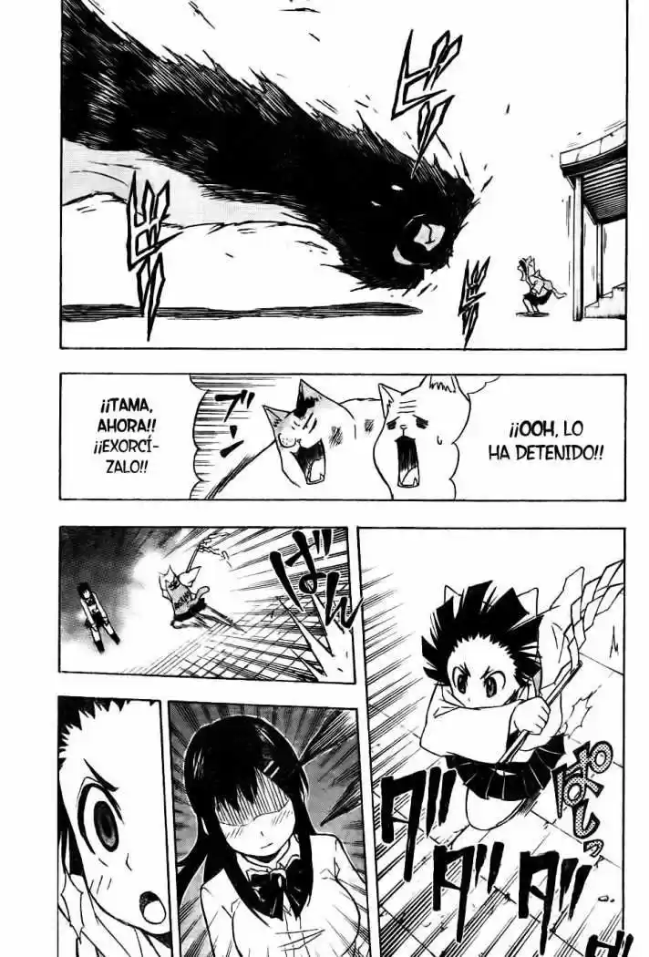 Neko Wappa capítulo 6, página 13