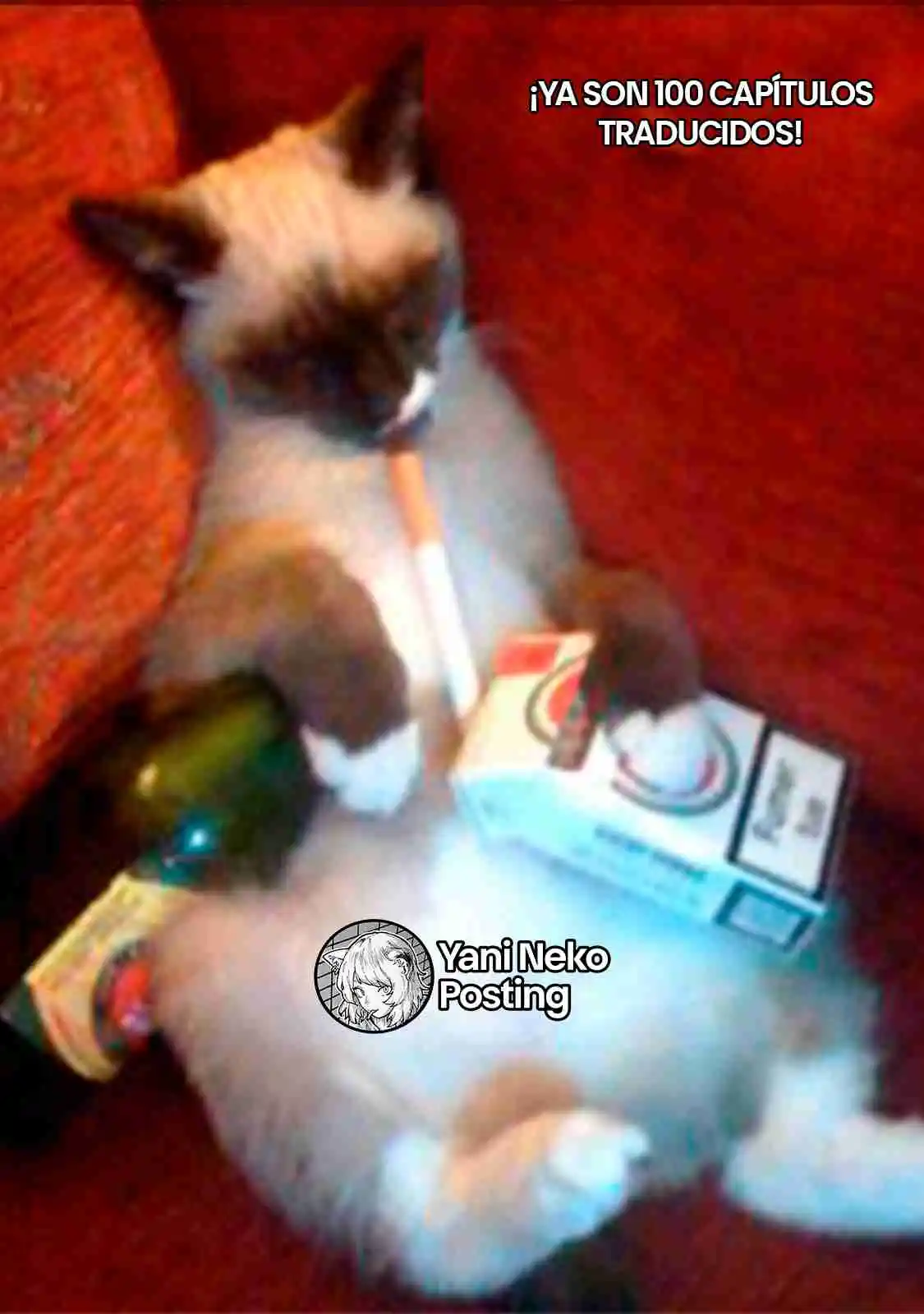 NICOTINEKO capítulo 100, página 5