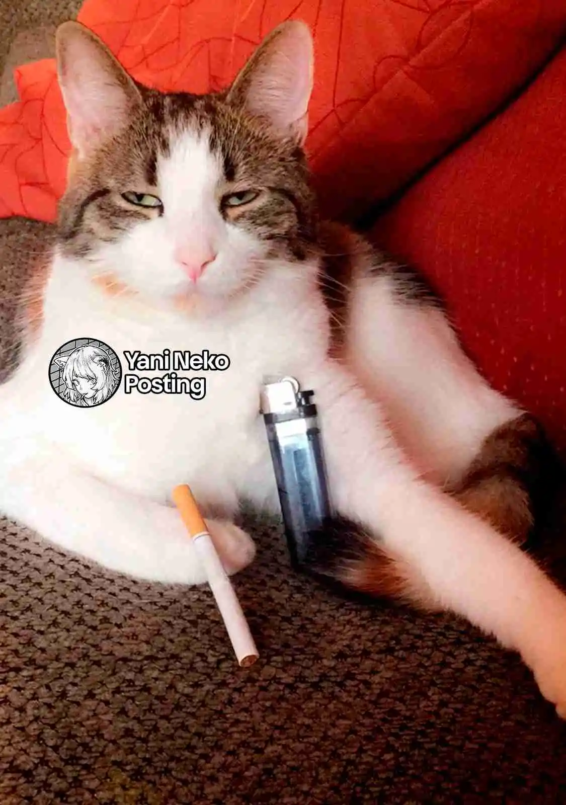 NICOTINEKO capítulo 101, página 5