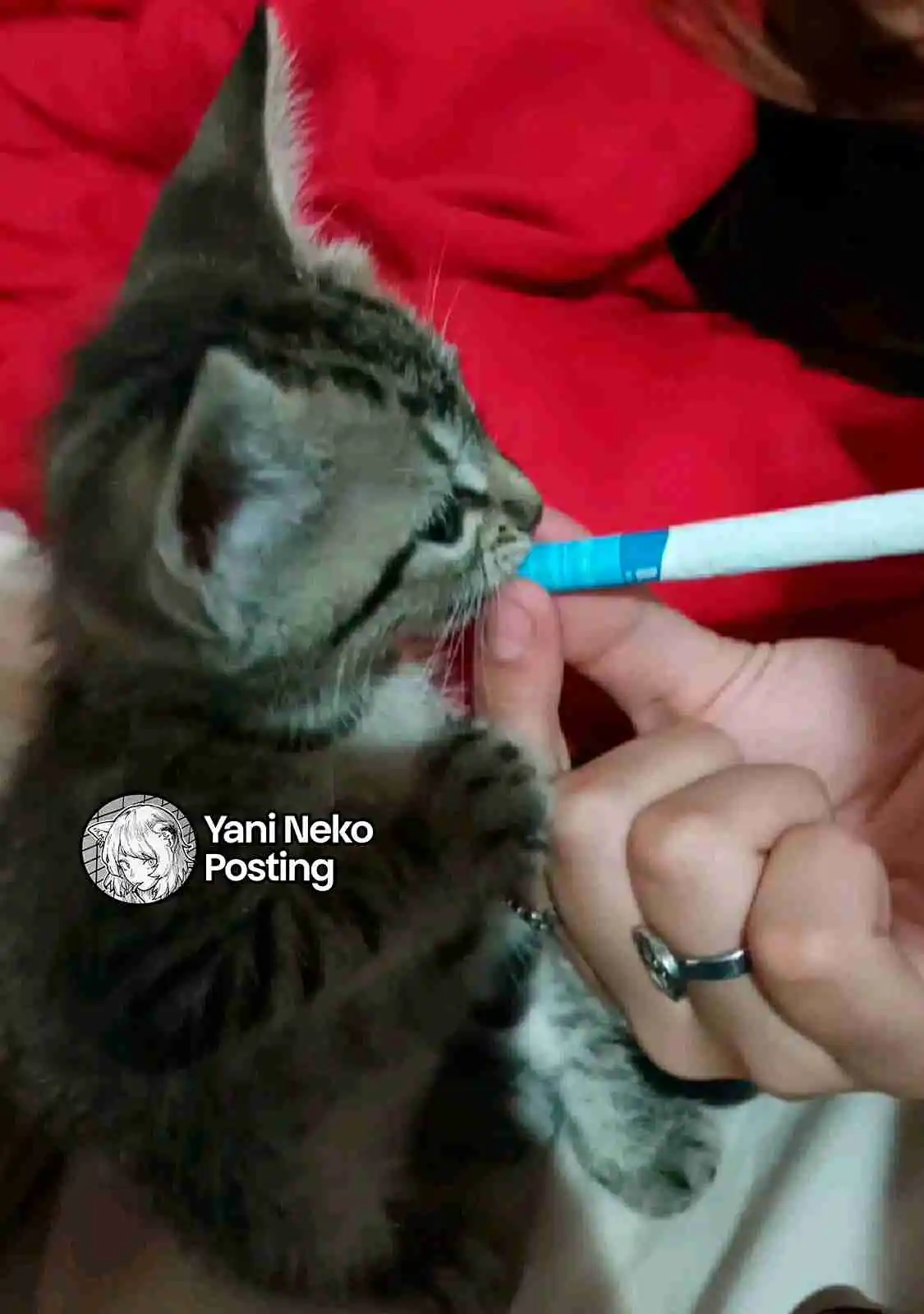 NICOTINEKO capítulo 104, página 5