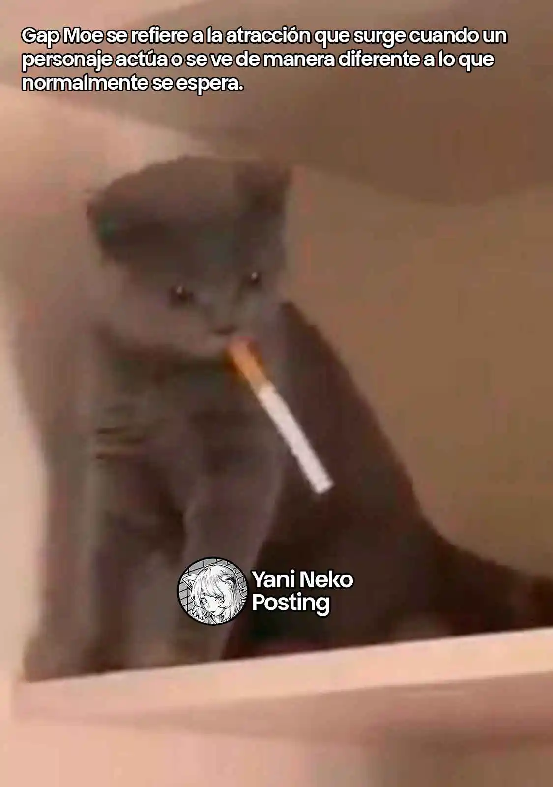NICOTINEKO capítulo 105, página 5