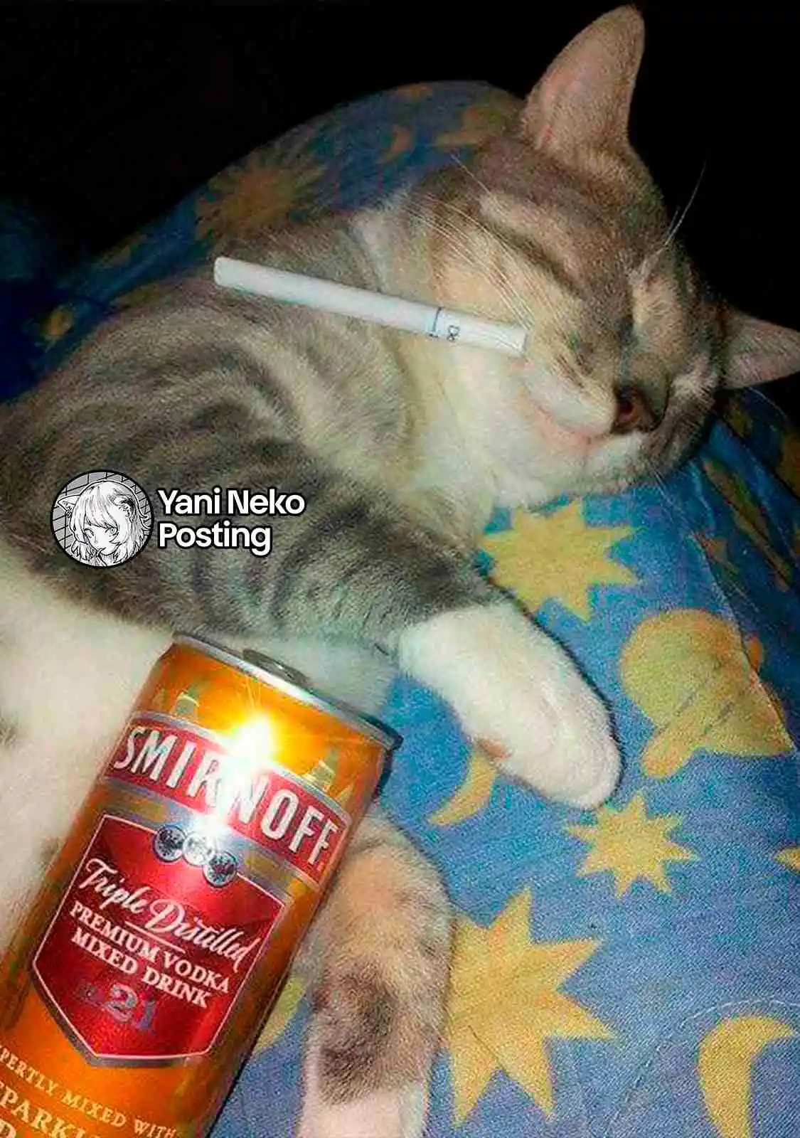 NICOTINEKO capítulo 108, página 5