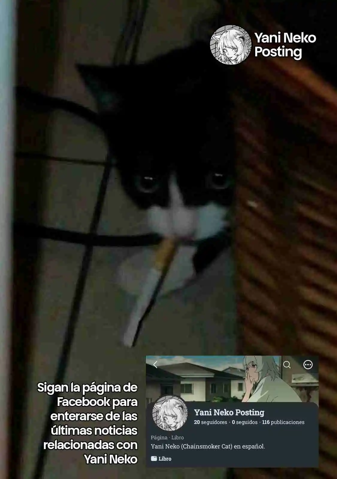 NICOTINEKO capítulo 93, página 5