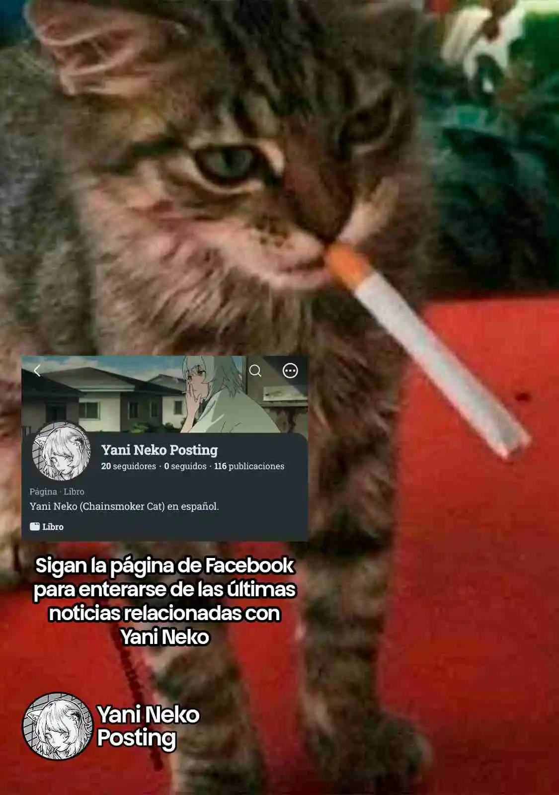 NICOTINEKO capítulo 96, página 5