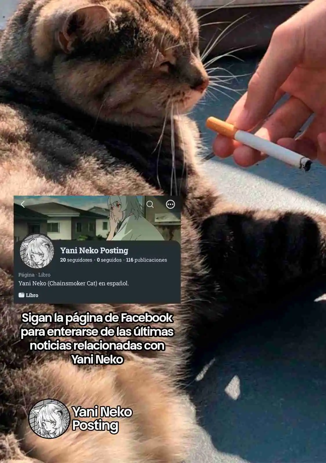 NICOTINEKO capítulo 98, página 4