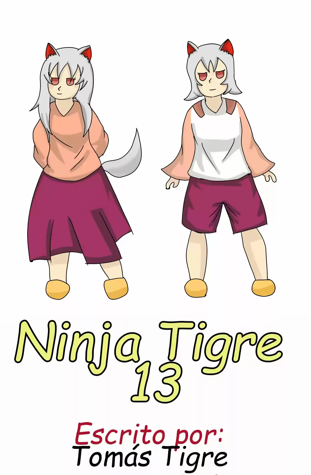 Ninja Tigre 13 capítulo 13, página 1