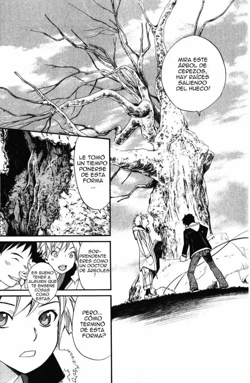Noragami capítulo 14, página 17