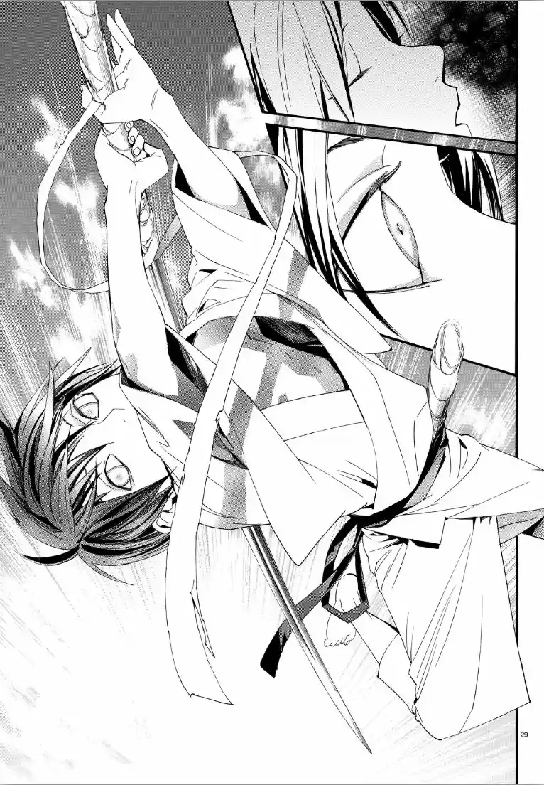 Noragami capítulo 69, página 29