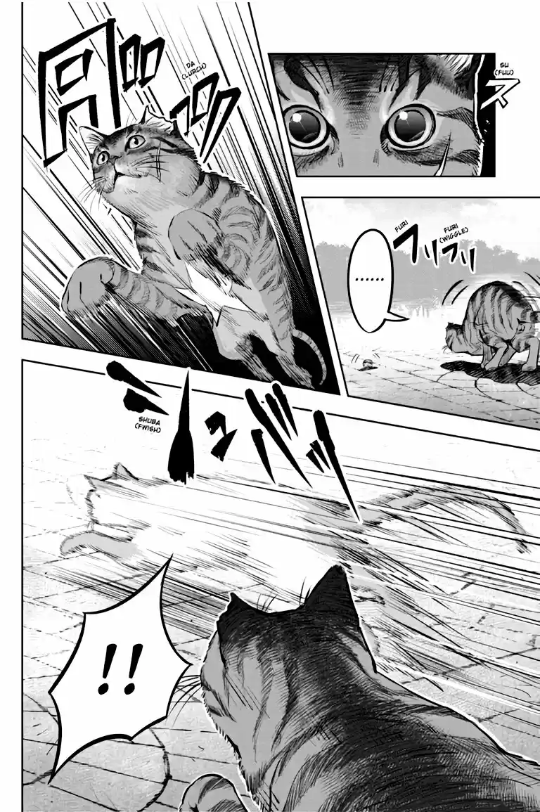 NYANKEES capítulo 1, página 13