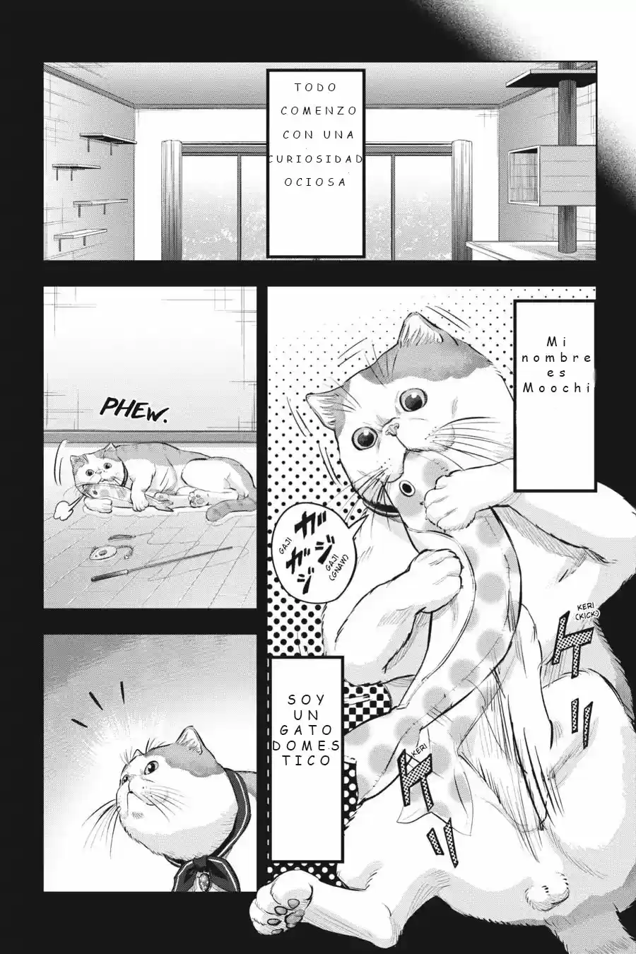 NYANKEES capítulo 10, página 9