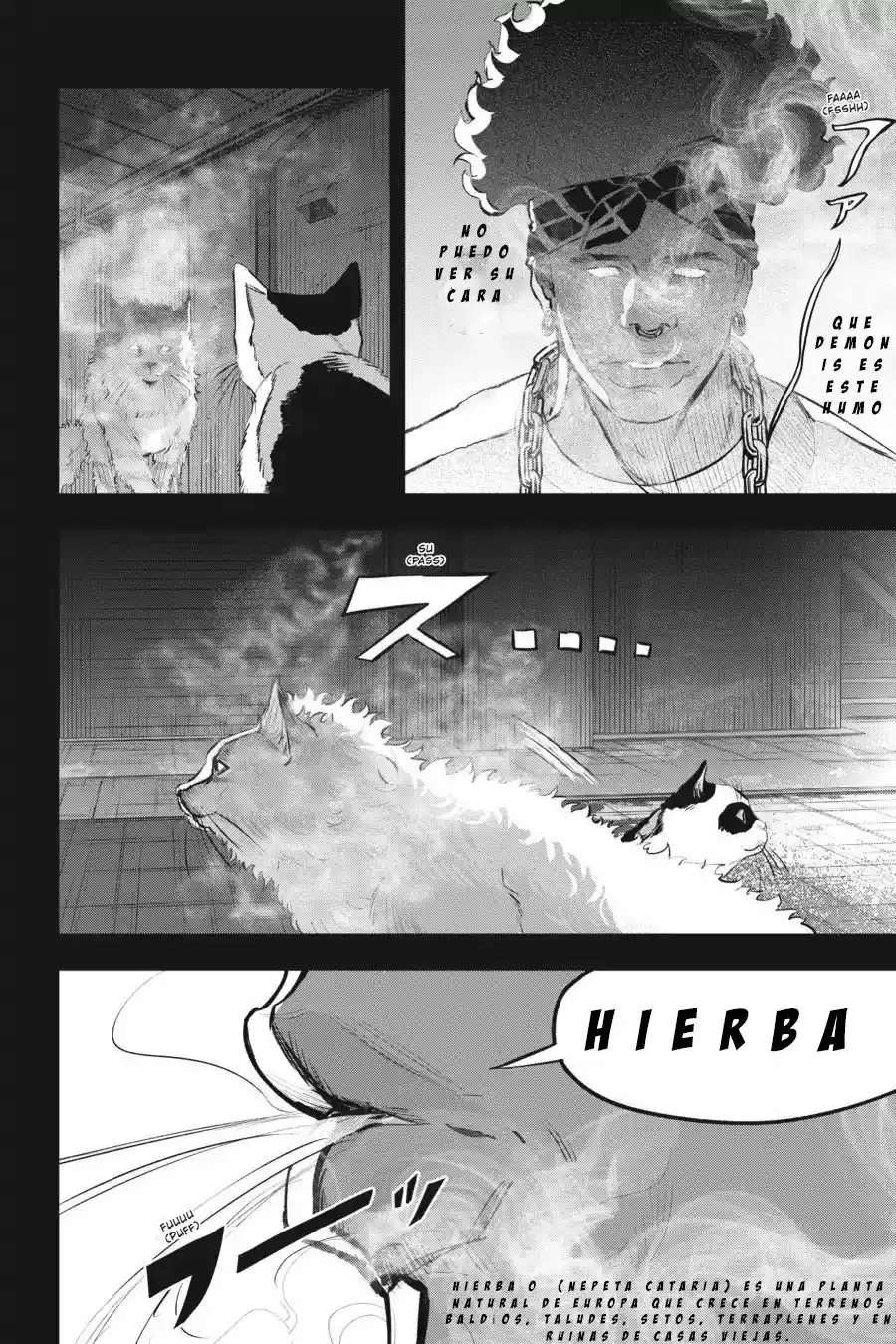 NYANKEES capítulo 11, página 17