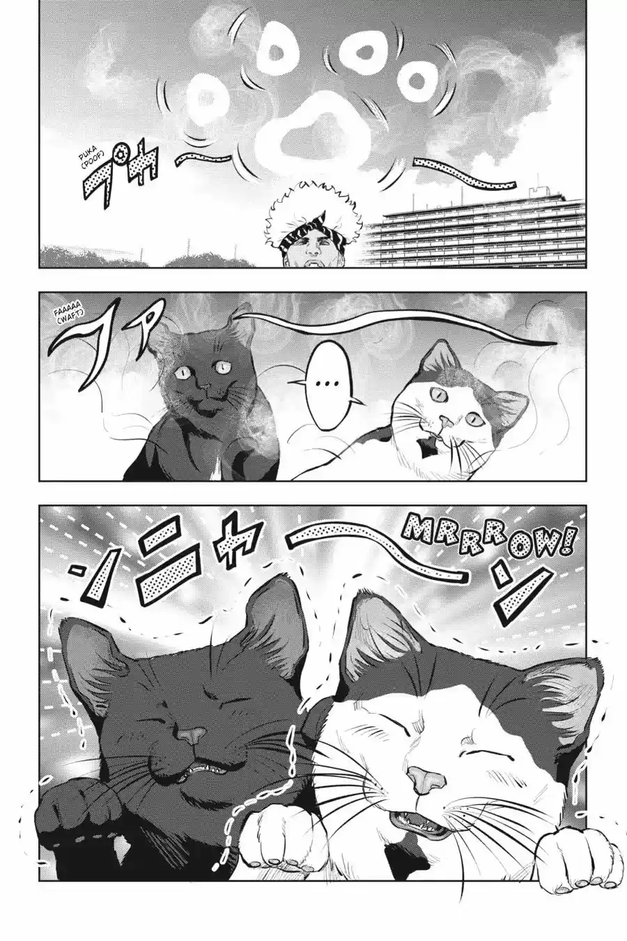 NYANKEES capítulo 12, página 13