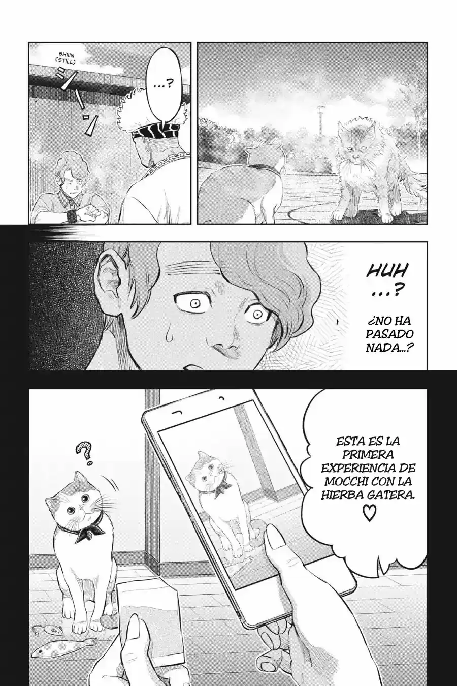NYANKEES capítulo 14, página 13