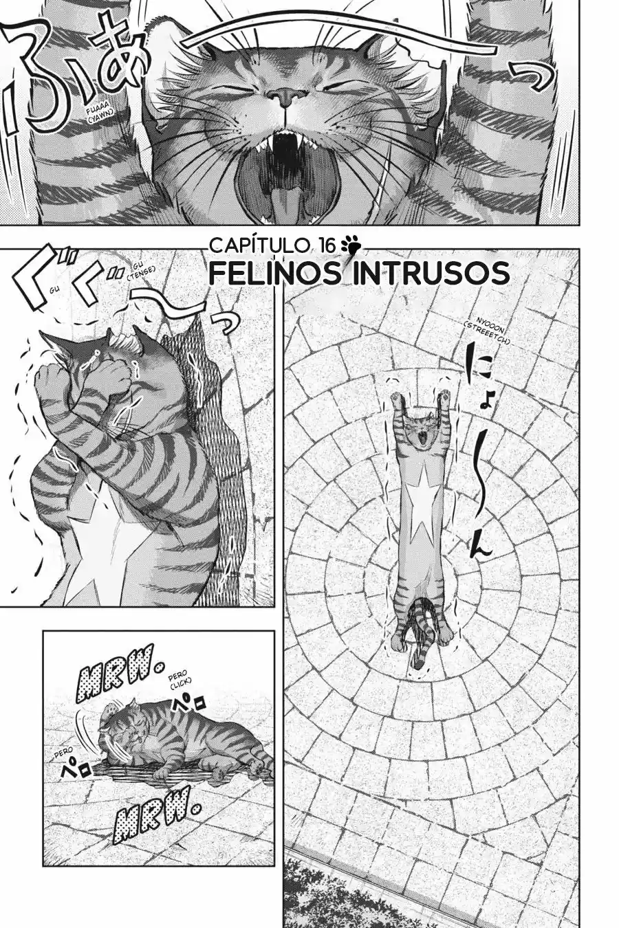 NYANKEES capítulo 16, página 1