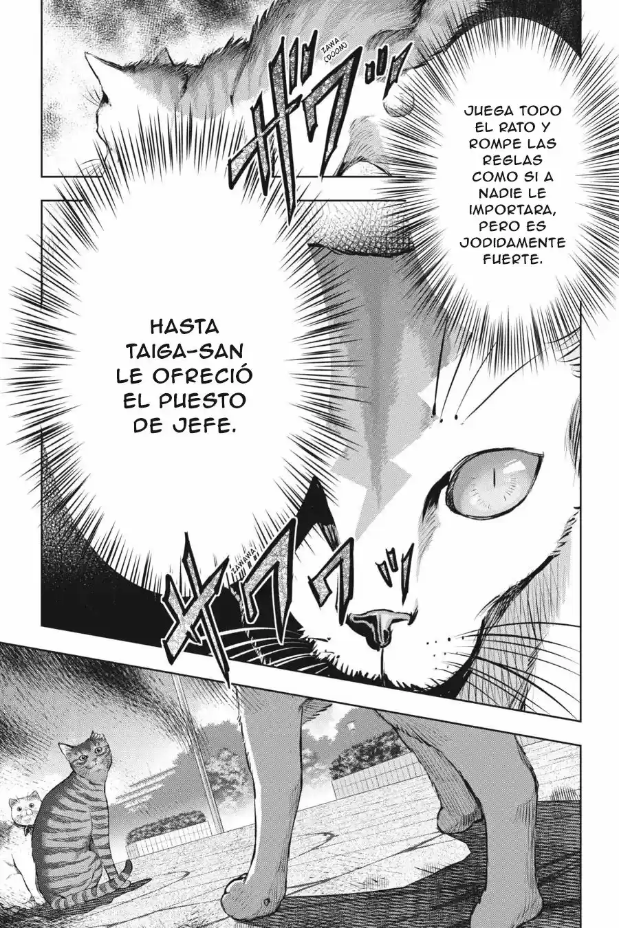 NYANKEES capítulo 16, página 22