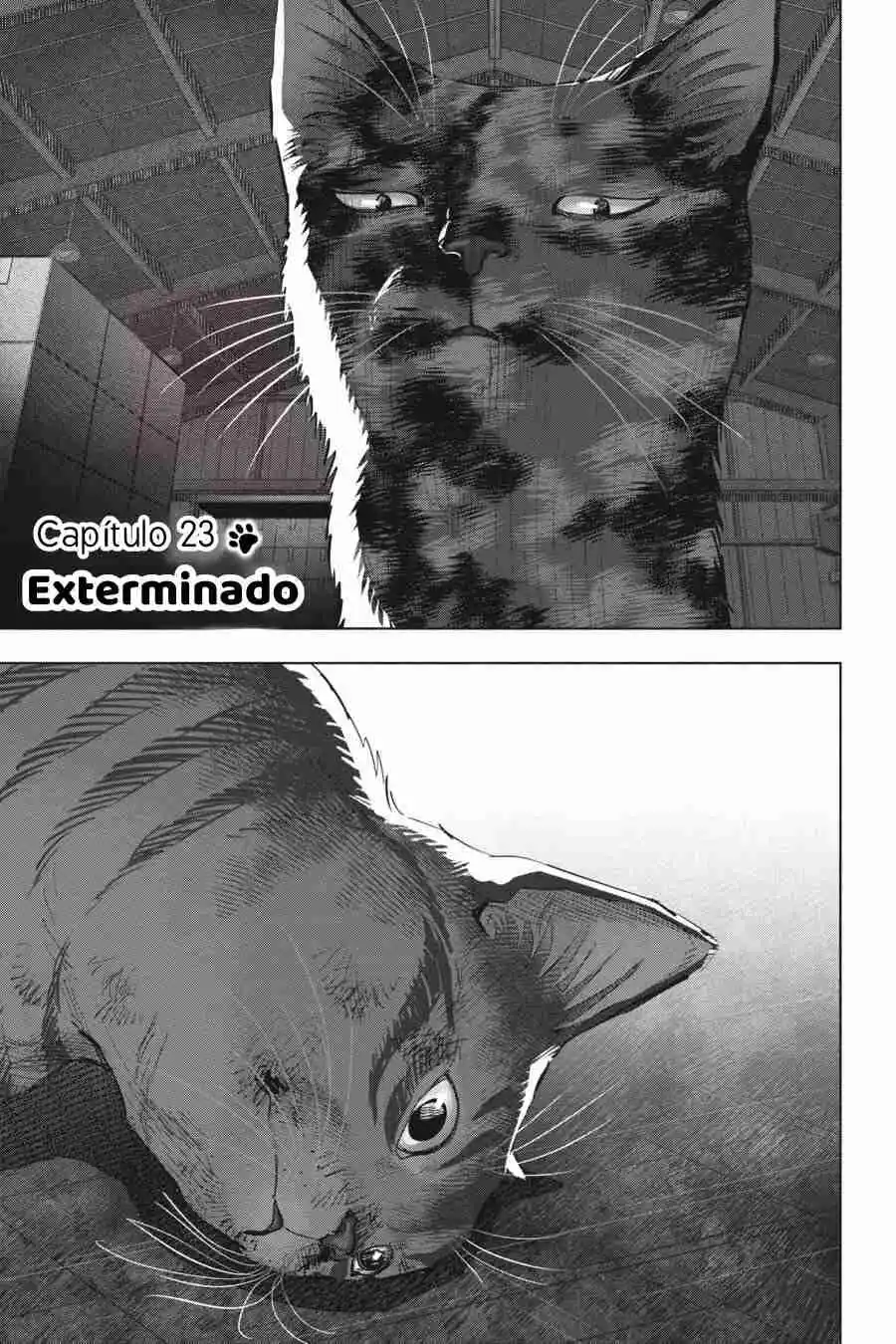 NYANKEES capítulo 23, página 1