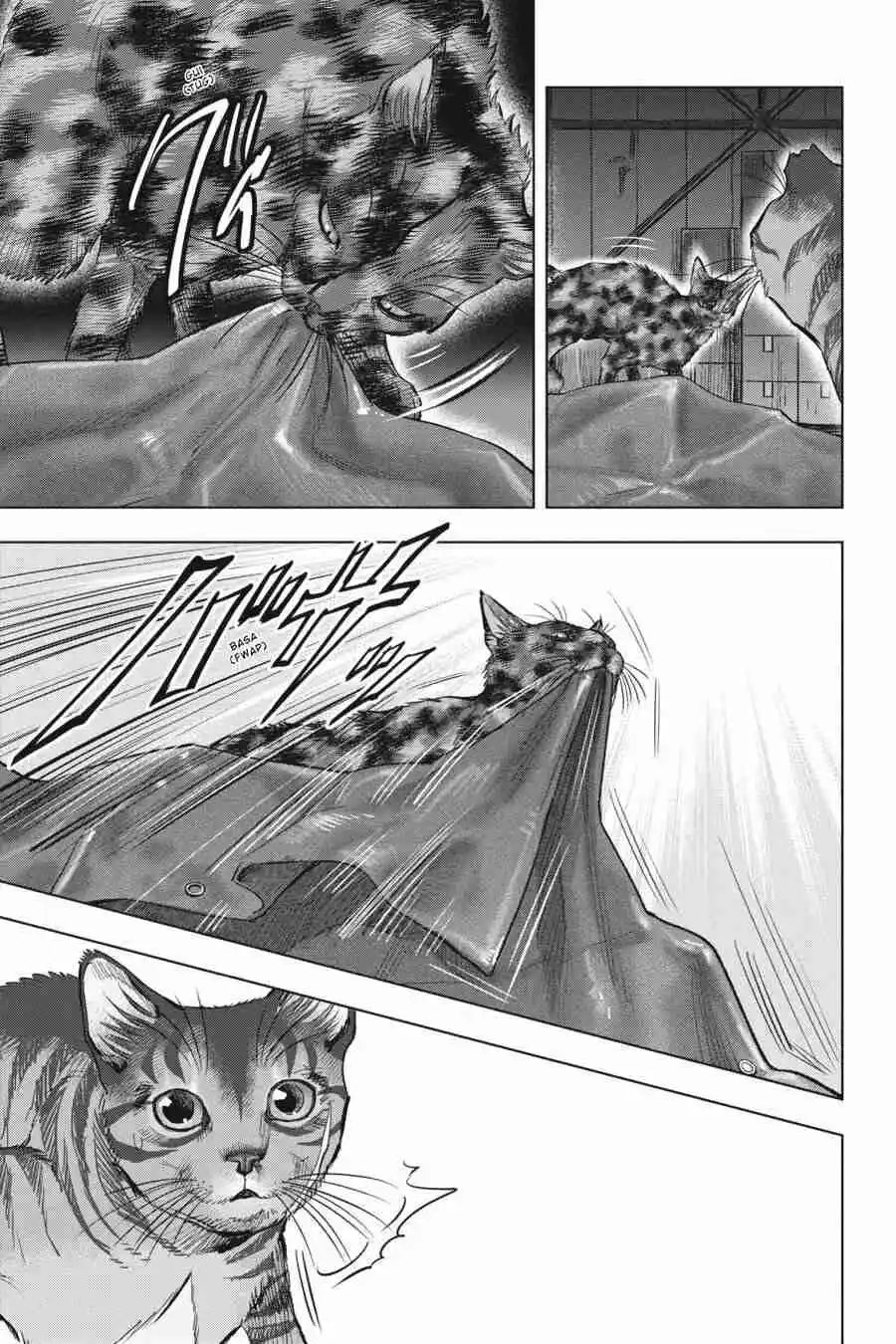 NYANKEES capítulo 24, página 13