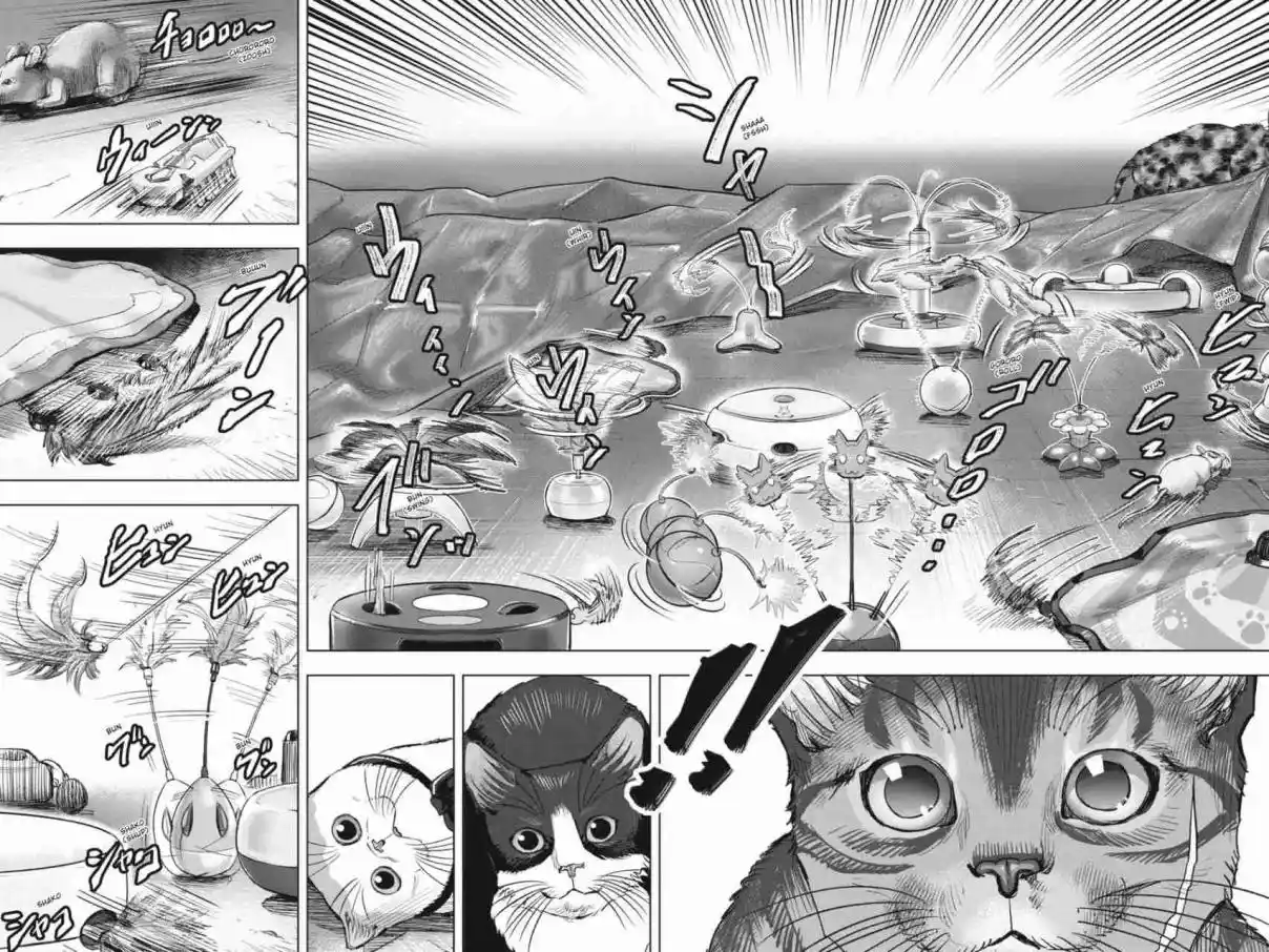 NYANKEES capítulo 24, página 14
