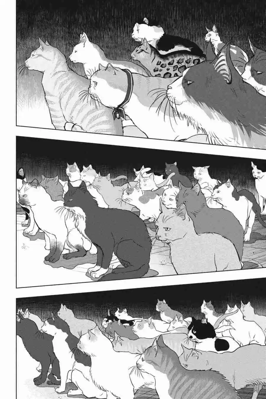 NYANKEES capítulo 28, página 25