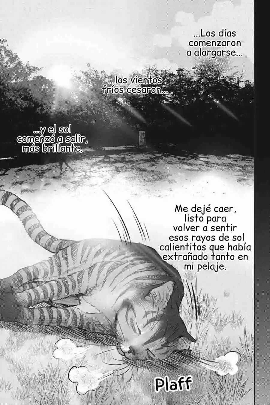 NYANKEES capítulo 28, página 30