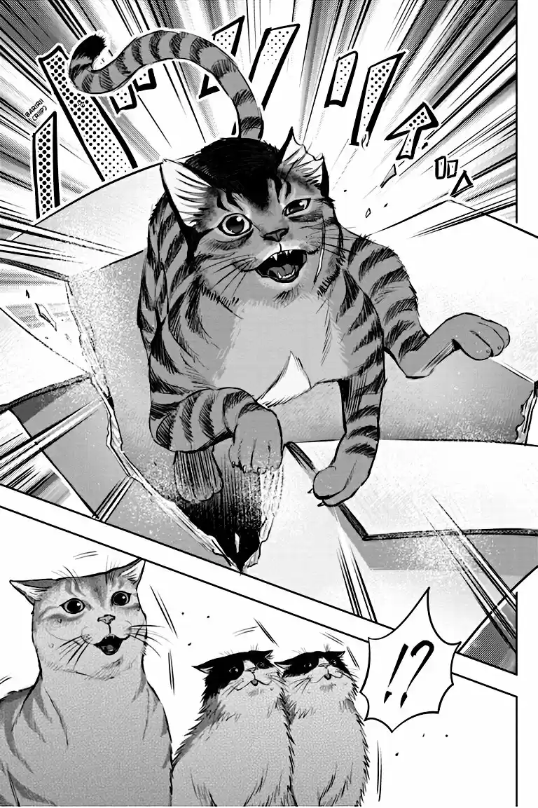 NYANKEES capítulo 3, página 24