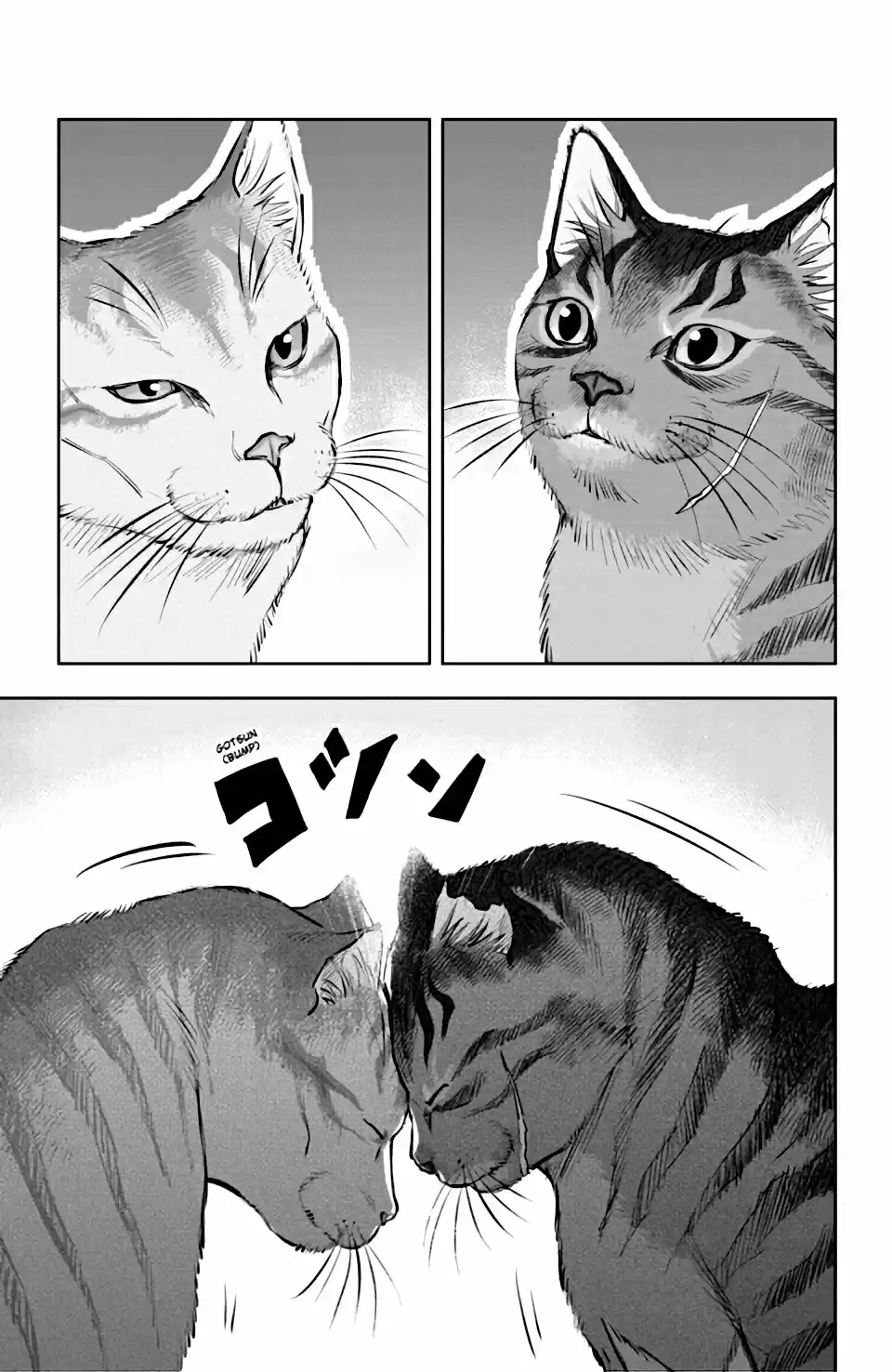 NYANKEES capítulo 4, página 15