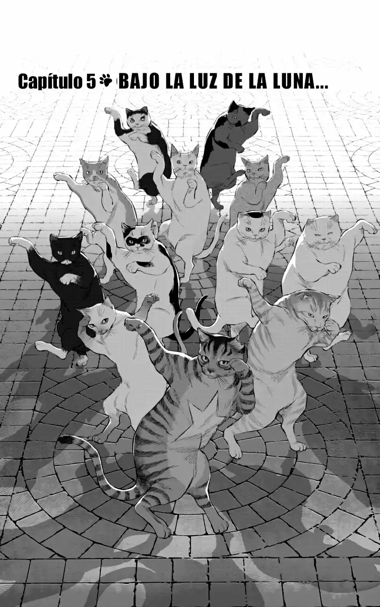 NYANKEES capítulo 5, página 2