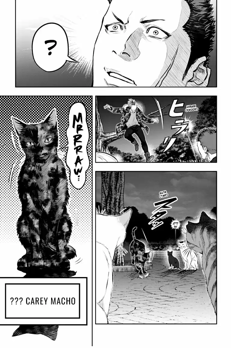 NYANKEES capítulo 5, página 9