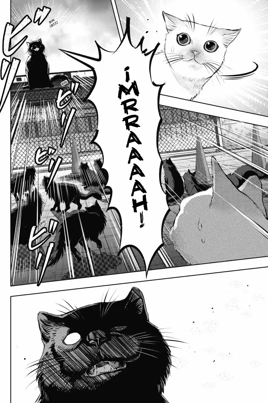 NYANKEES capítulo 6, página 6