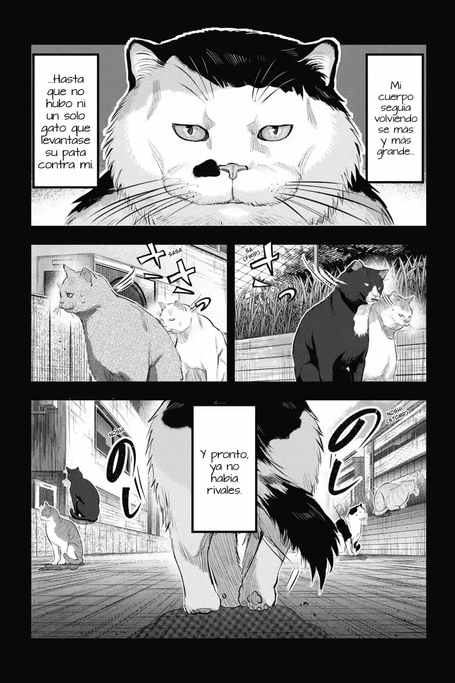 NYANKEES capítulo 7, página 7