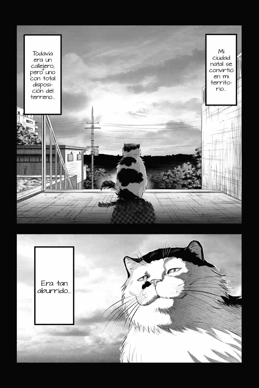 NYANKEES capítulo 7, página 8