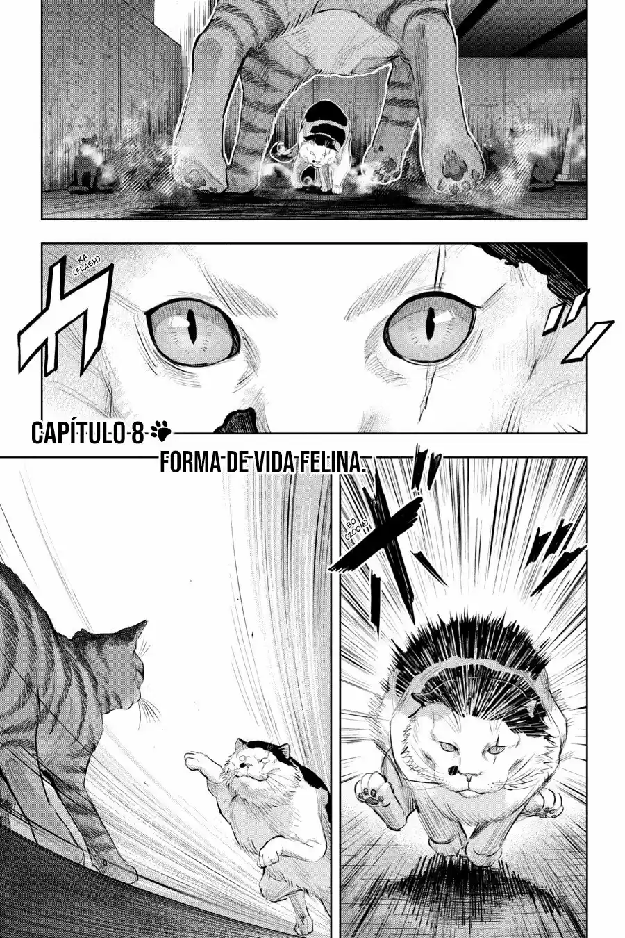 NYANKEES capítulo 8, página 2
