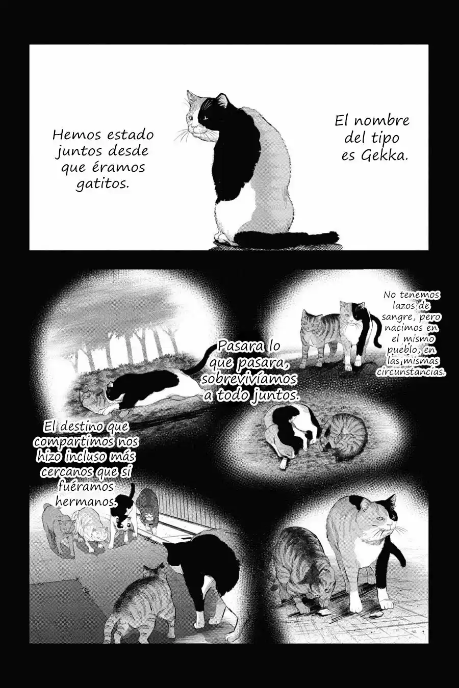 NYANKEES capítulo 9, página 21