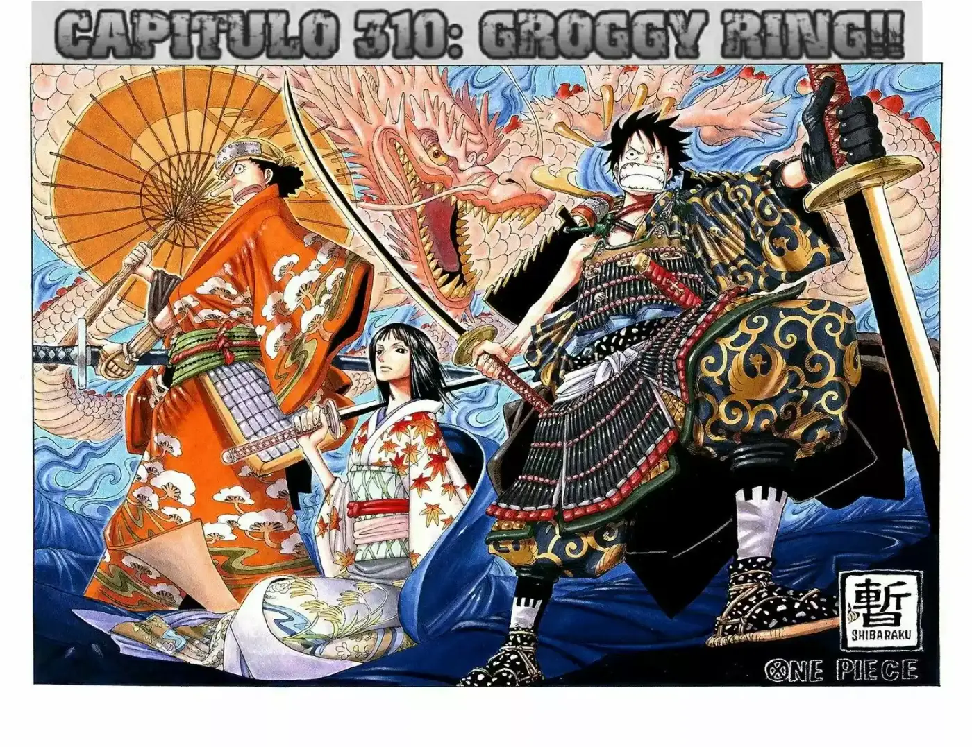 One Piece (full Color) capítulo 310, página 1
