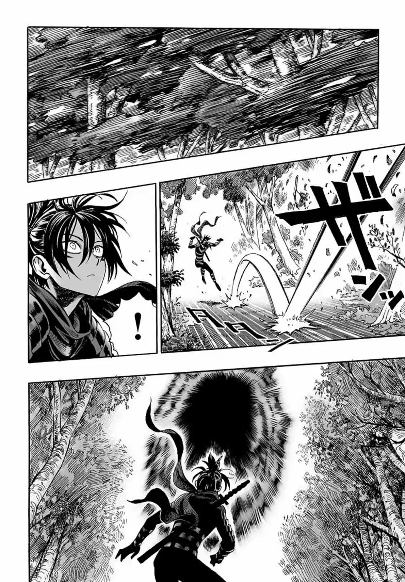 Onepunch-Man (ONE) capítulo 13, página 12