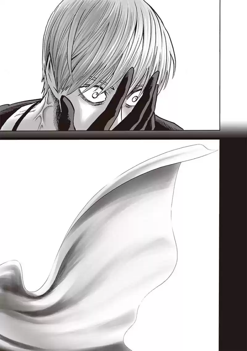 Onepunch-Man (ONE) capítulo 136, página 9