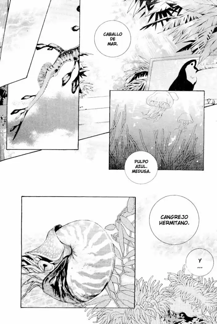 Oneshot capítulo 4, página 4