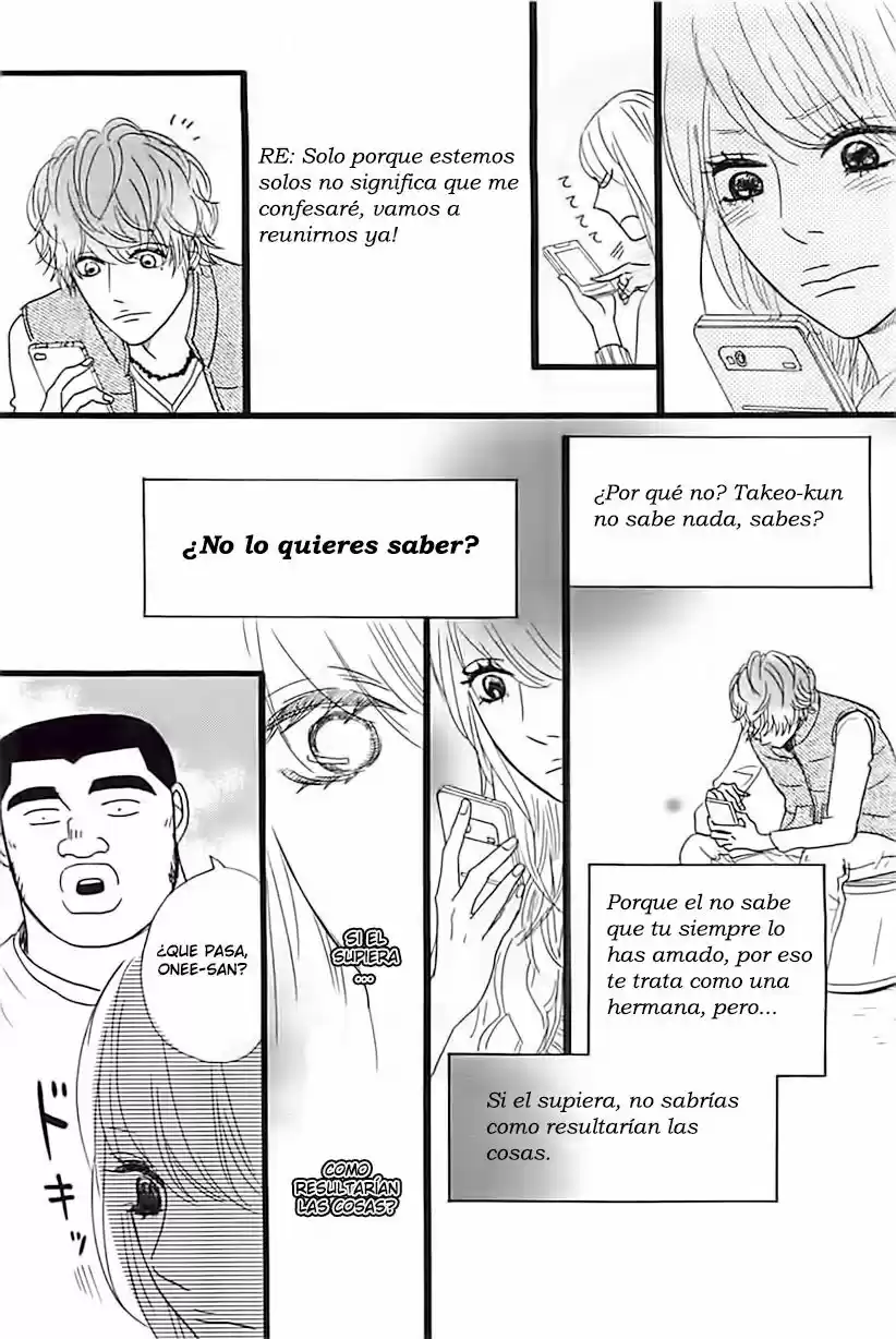 Ore Monogatari!! capítulo 12, página 25
